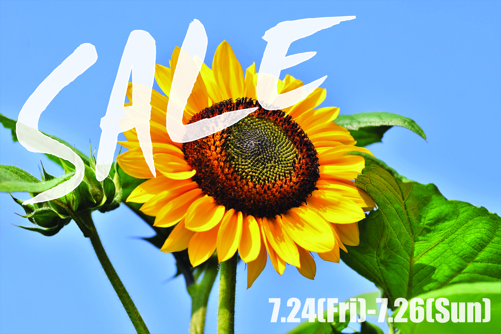 イベントのお知らせ