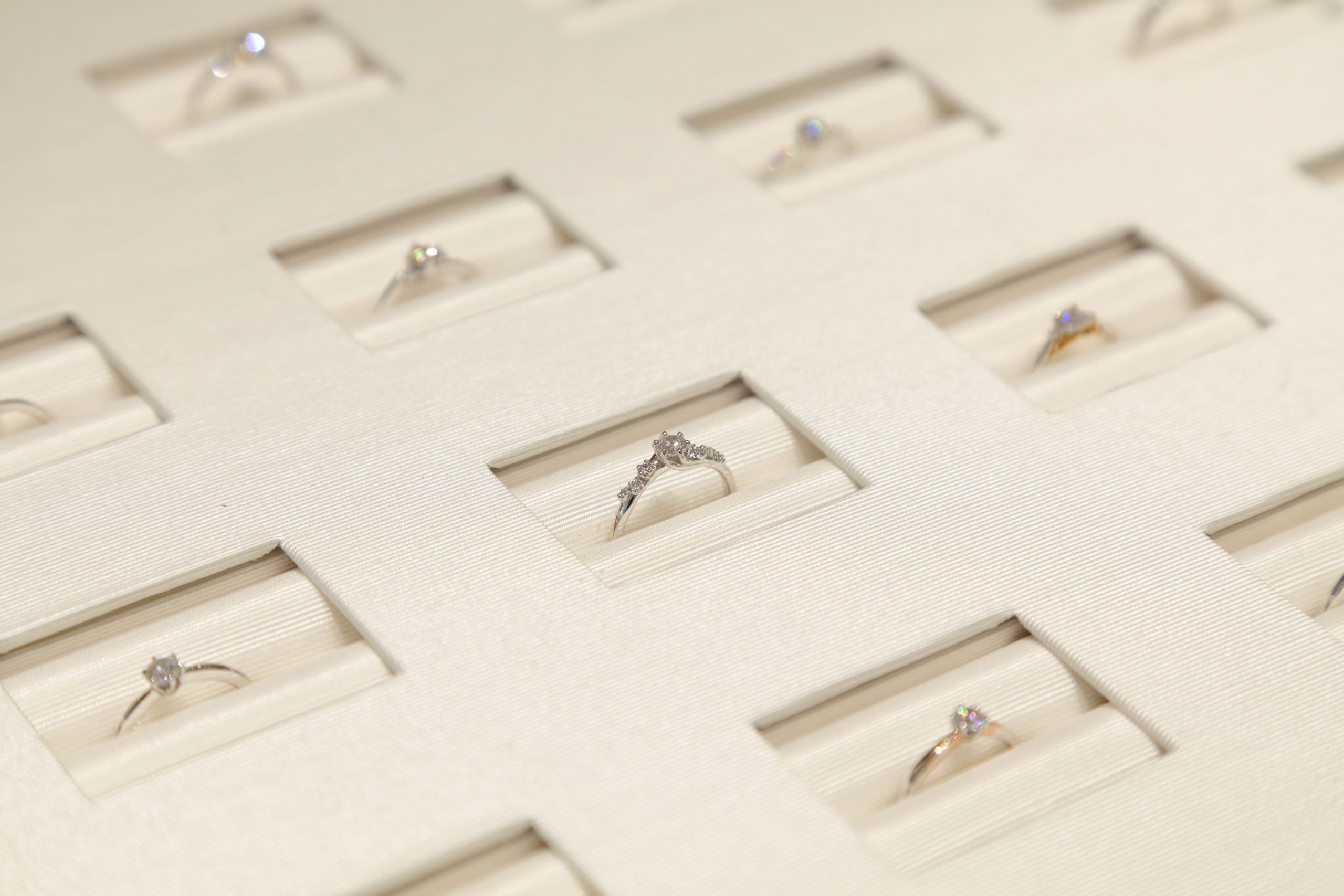 お食事会「ある！ある！」　三河版