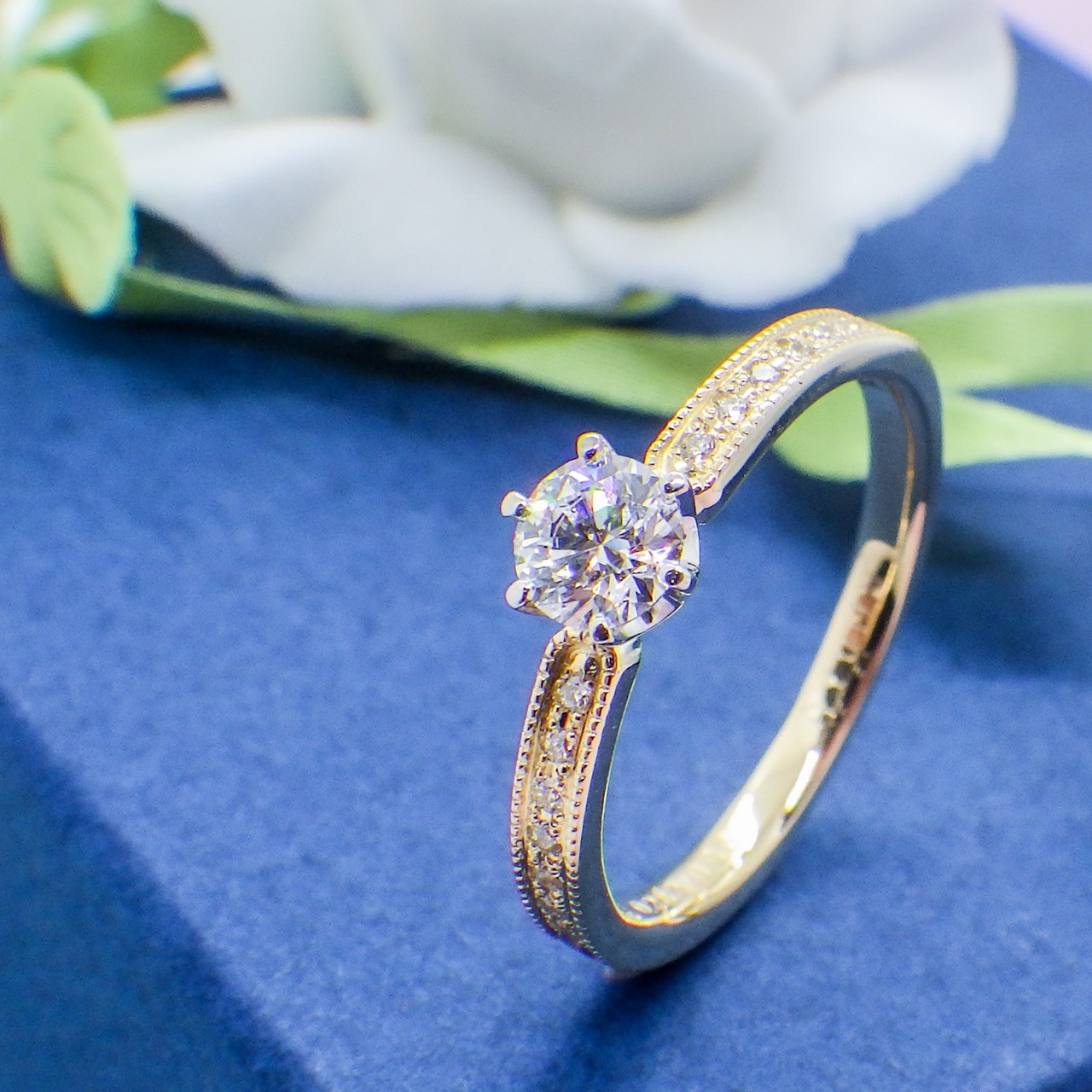 愛知県　名古屋市　M様