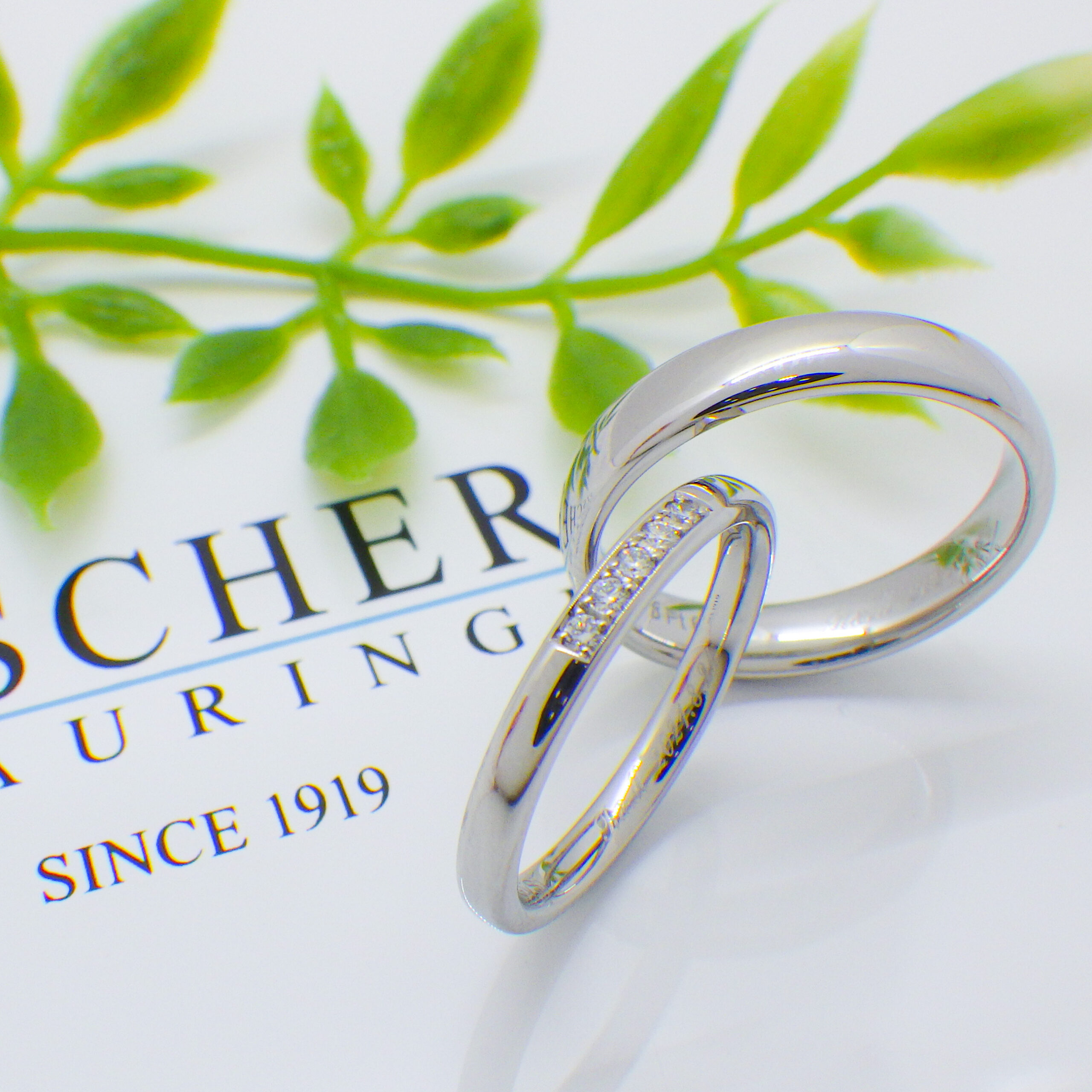 愛知県　新城市　R様　&　M様